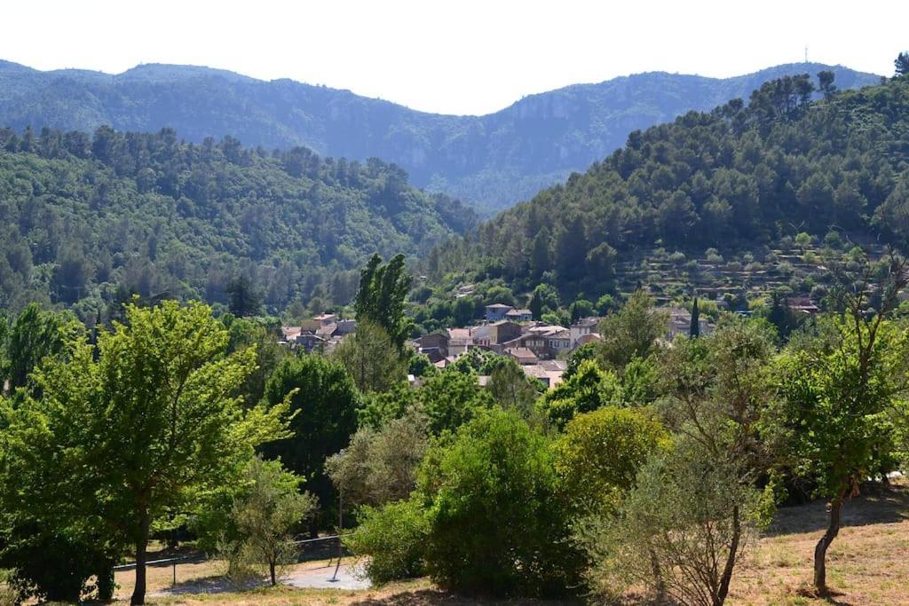 Cosy Provencal Apartment Belgentier Luaran gambar